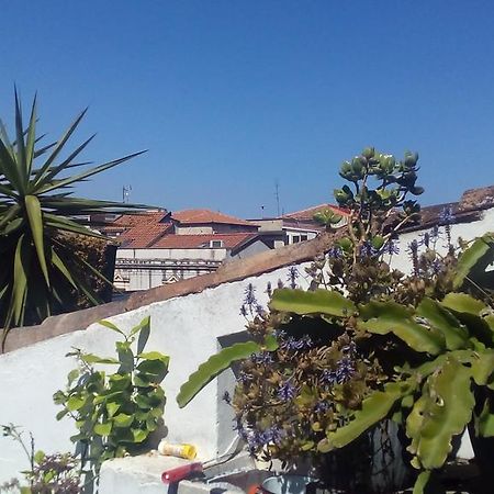 Creative Apartment Catania Bagian luar foto