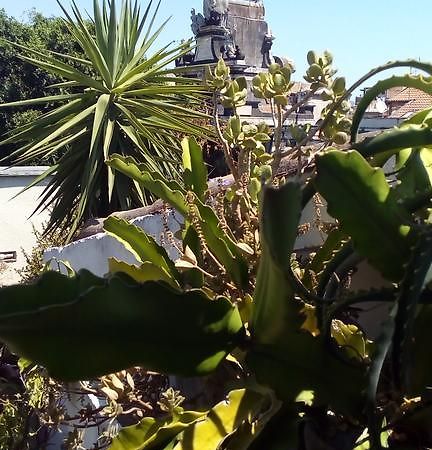 Creative Apartment Catania Bagian luar foto